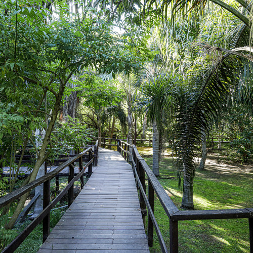 Delta Eco Resort & Spa
